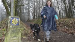 Neo, el primer perro con credencial xacobea