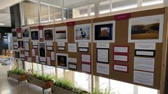 La exposici�n re�ne im�genes presentadas al �ltimo concurso fotogr�fico de la asociaci�n Albores