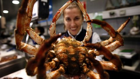 Los tesoros de la plaza