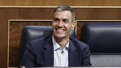 El presidente del Gobierno, Pedro S�nchez, en el �ltimo pleno ordinario del per�odo de sesiones, el pasado 25 de junio