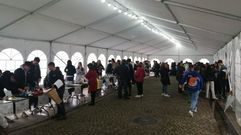 Xornadas de Ciencia de O Carballi�o