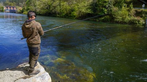 Pescador, en la ribera de un r�o de Asturias