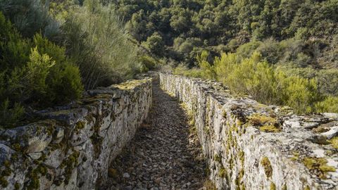 Ruta del Canal do Ruca en A Merca.
