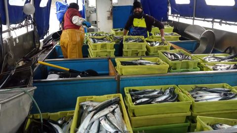 Imagen de archivo de tripulantes de un barco gallego en la costera de la xarda del 2020.