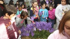 Las im�genes del grito un�nime de la Costa da Morte contra la violencia machista