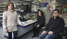 Serena Santolamazza, Rosana S�nchez-Guill�n, Iago Sanmart�n y Adolfo Cordero, en el laboratorio del grupo de Ecolog�a Evolutiva. 