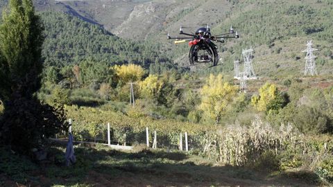 Dron realizando mediciones en un vi�edo gallego