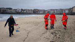 Operarios municipales de Sanxenxo retiraron bolitas de pl�stico de la playa de Silgar