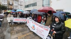 Imagen de la concentraci�n organizada por Asfanemor en Viveiro el pasado s�bado para reclamar un aumento de la dotaci�n de profesorado especialista�en colegios e institutos de A Mari�a y Ortegal