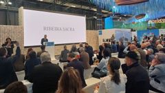 El presidente del consorcio turstico de la Ribeira Sacra interviene el acto de presentacin celebrado en Fitur