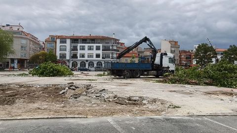 La aparente tala de �rboles ha provocado alarma en O Grove.