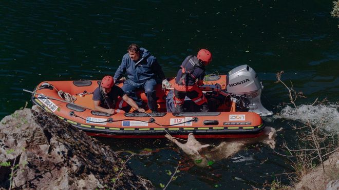 Un cami�n que transportaba cerdos vuelca en la N-120