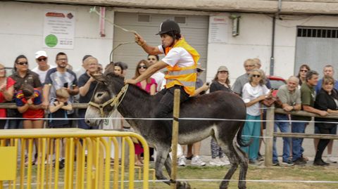 Uno de los participantes en la carrera en plena disputa