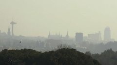 contaminacion_detalle