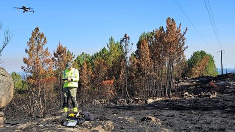 Un dron operado por un funcionario de Medio Rural para la investigacin de incendios forestales.