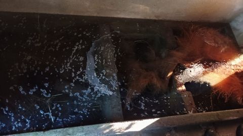 Aspecto del pozo Pedra Agulla, que abastece a vecinos de Chancelas, en Poio