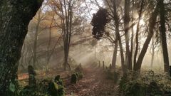 O Pereiro de Aguiar incorpora tres nuevas rutas de senderismo