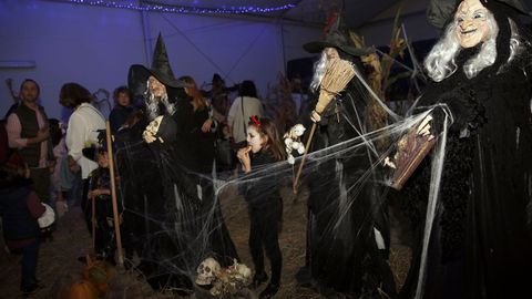 exposici�n de calabazas y baile de la asociacion Alfaia, FIESTA DE HALLOWEN 