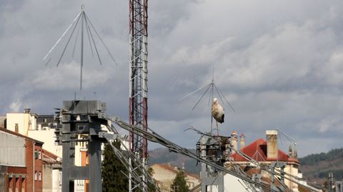 El ADIF instal� este invierno unos dispositivos met�licos en muchas torres de la catenaria para disuadir a las cig�e�as, sin mucho �xito