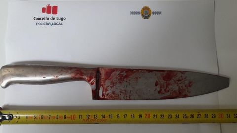El cuchillo requisado al detenido