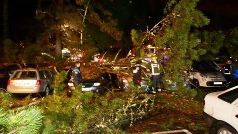 Cae un rbol encima de siete coches en ACEA Da Ama