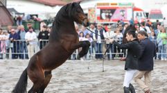 Amio vuelve a ser el principal escenario de la jornada grande de las fiestas de la Ascensin