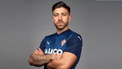 Gio Zarfino