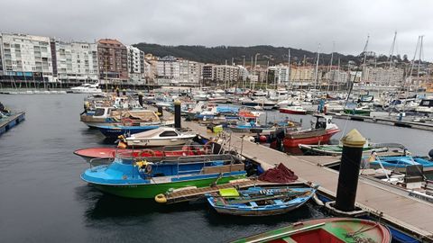 Flota amarrada en el puerto de Sanxenxo
