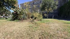 Efectos de la sequ�a en los parques y jardines de Pontevedra: jardines de Casto Sampedro
