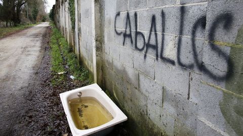 Vieja ba�era utilizada como bebedero en una granja en las inmediaciones del campamento militar de san Cibrao. 