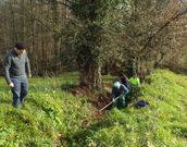 Trabajadores del Concello acondicionando el entorno de la capilla.