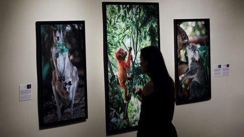 La muestra �Madre m�a! se puede visitar hasta el 20 de junio