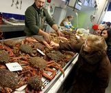 <span lang= es-es >Sin queja en Ferrol</span>. Los comerciantes del mercado de A Magdalena aseguran no tener queja de las ventas este a�o.