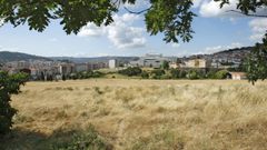 Finca Mari�amansa de Ourense.