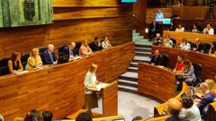 La diputada de Podemos, Covadonga Tom�, en el debate de investidura