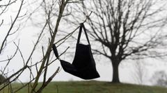 Una mascarilla colgada de las ramas de un �rbol, en La Fresneda