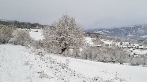 Paisaje nevado cerca de Vilarxon, en O Incio