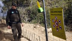 La zona en la que aparecieron los jabal�es muertos est� cercana a un centro de investigaci�n