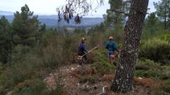 Dos de los voluntarios que participaron en una primera jornada de desbroce del castro el pasado 16 de octubre