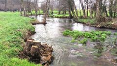 Vista del r�o Mi�o a su paso por el t�rmino municipal de A Pastoriza