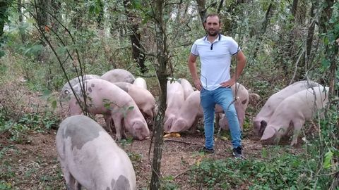 Manuel Lamas Araujo. Monterrei. Apost� el a�o pasado por el porco celta porque es un producto diferenciado en el mercado, pero tambi�n porque ten�a fincas descuidadas que rodeaban su casa y la cr�a de estos animales le ha permitido ponerlas en valor, al tiempo que reduce el riesgo de incendios.
