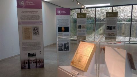 Exposici�n �Voces. La llingua n?Asturies al Travi�s de los Sieglos�