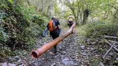 Una tubera figura entre los residuos recogidos por los voluntarios en el barranco del Rego Seco