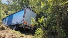 El cami�n qued� atascado entre �rboles tras salirse de la calzada 