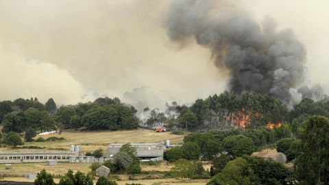 Incendio en Dozn