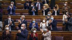 La bancada socialista (en primera l�nea, segundo por la derecha, el gallego Guillermo Meij�n, ponente de la ley) aplaude la aprobaci�n de la nueva ley