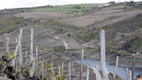 Viedo en lo alto de la ladera del Mio, en O Saviao, visto desde el lado de Taboada