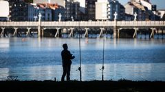 Un pescador prepara sus ca�as en el puente de A Toxa, en O Grove