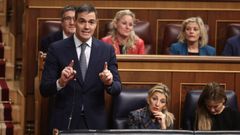 El presidente del Gobierno, Pedro Snchez, en la sesin de control del Congreso de los Diputados.