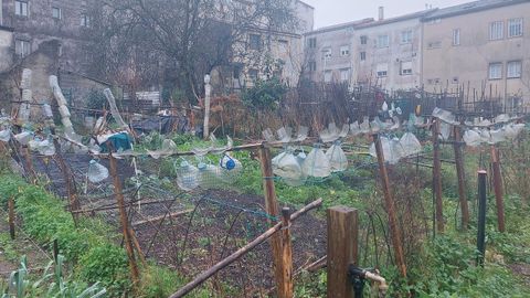Huertas urbanas en Fontiñas